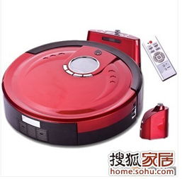 我家亂亂的陽光房,期待春天 園藝