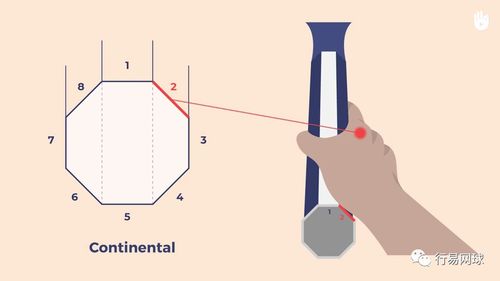豐富你的武器庫(kù) 反手高壓球
