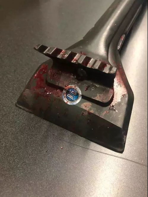 13家中餐館被打砸搶,多倫多華人餐館老板勇斗連環(huán)持槍劫匪